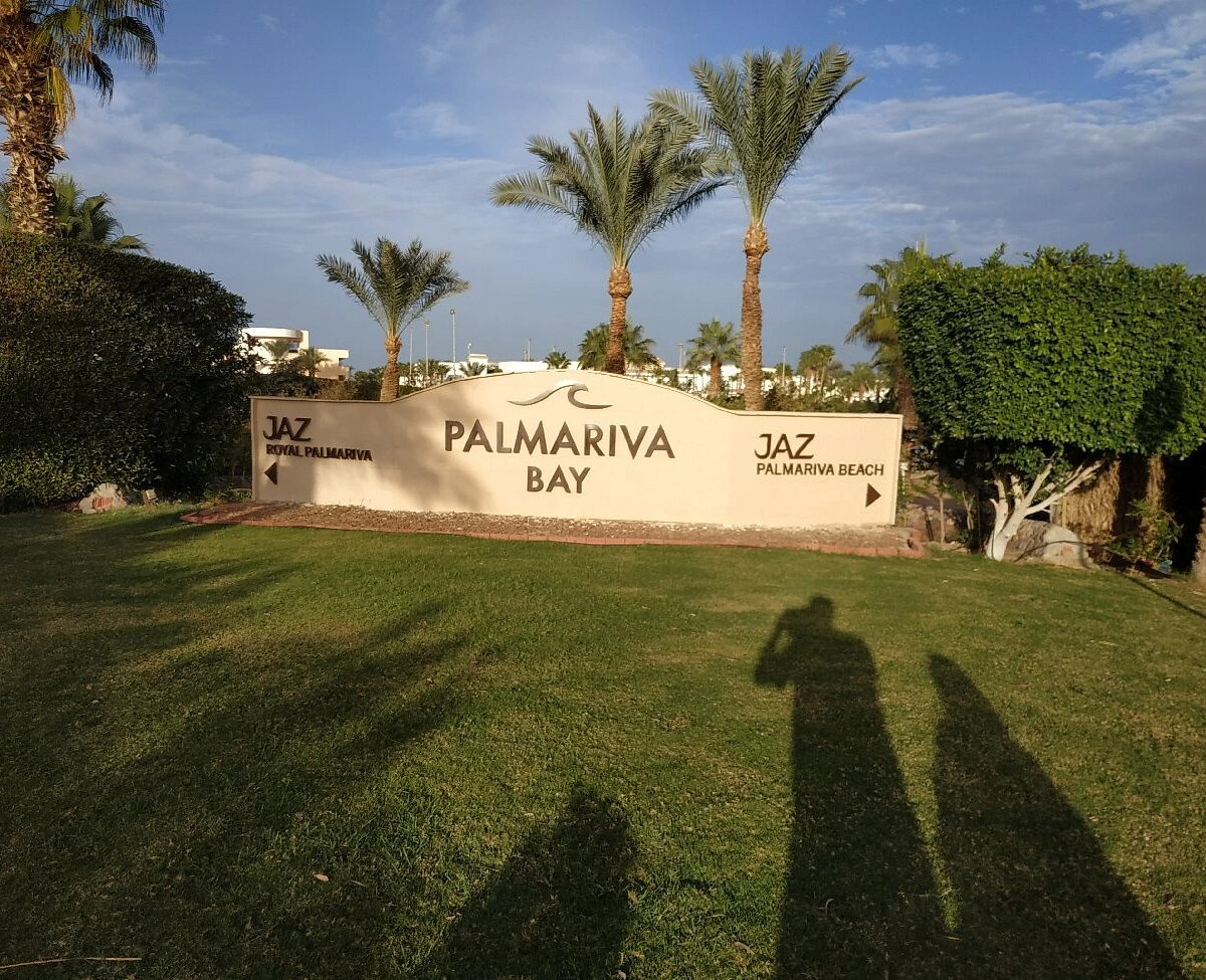 Privater Transfer vom Flughafen Hurghada zum JAZ Palmariva Beach