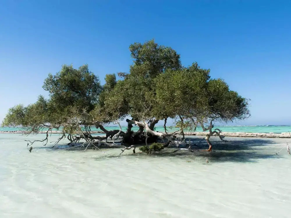 Route vom Flughafen Hurghada nach Marsa Alam entlang der Red-Sea-Küste